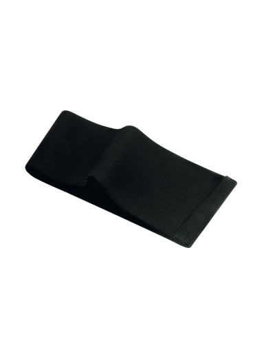 Fascia Elastica