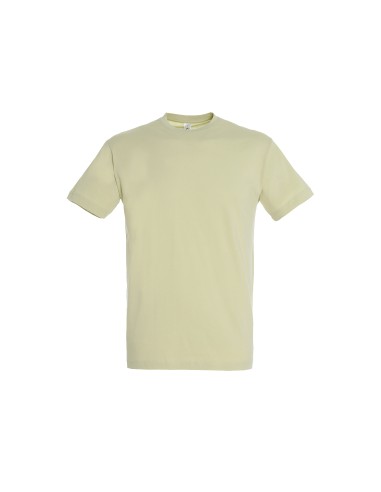 T-Shirt Girocollo Regent 47 Colori 150 gr