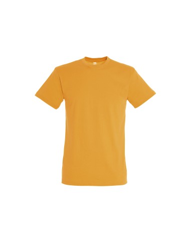 T-Shirt Girocollo Regent 47 Colori 150 gr