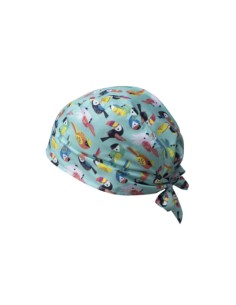 Bandana Urano a Fantasia 2